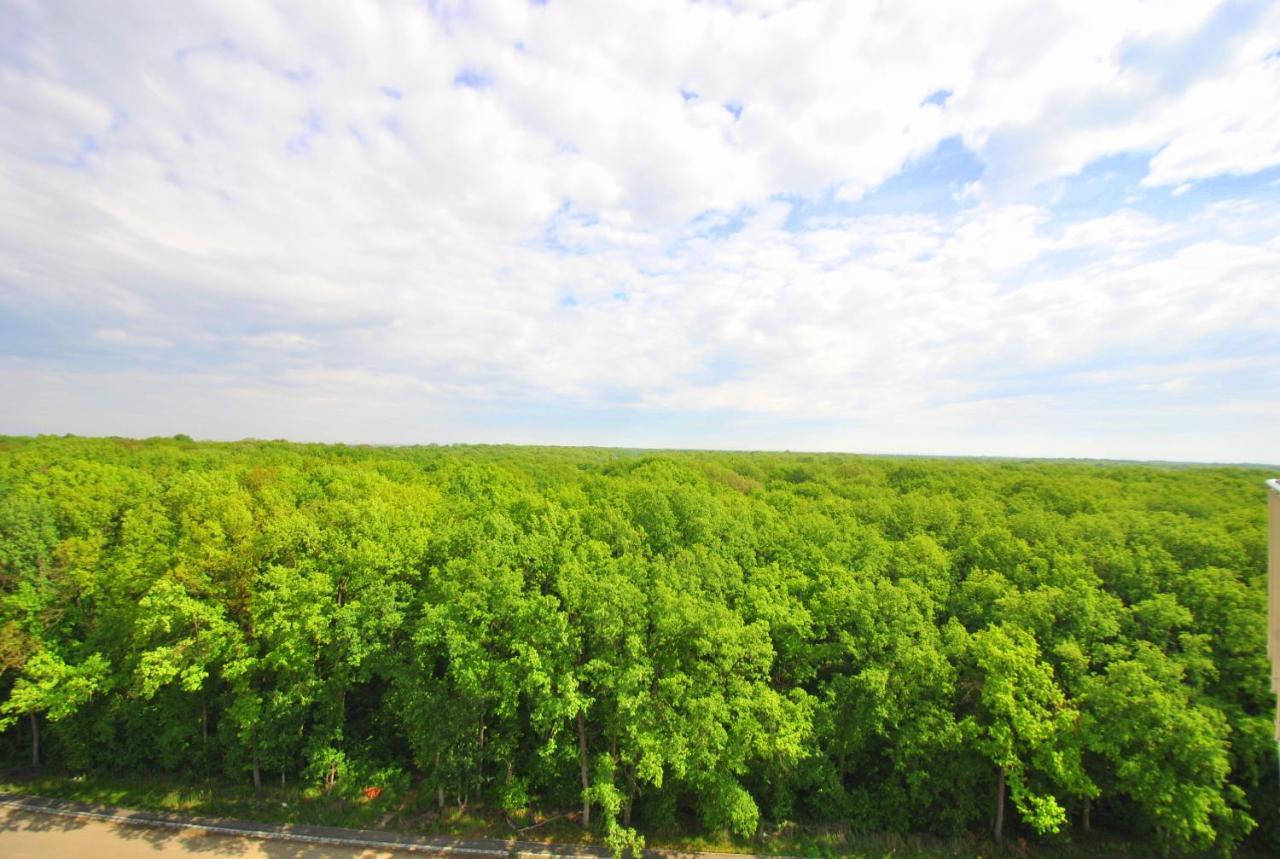 Foresthouse 1 蒂米什瓦拉 外观 照片