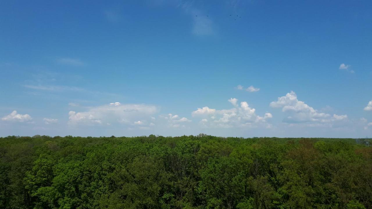 Foresthouse 1 蒂米什瓦拉 外观 照片