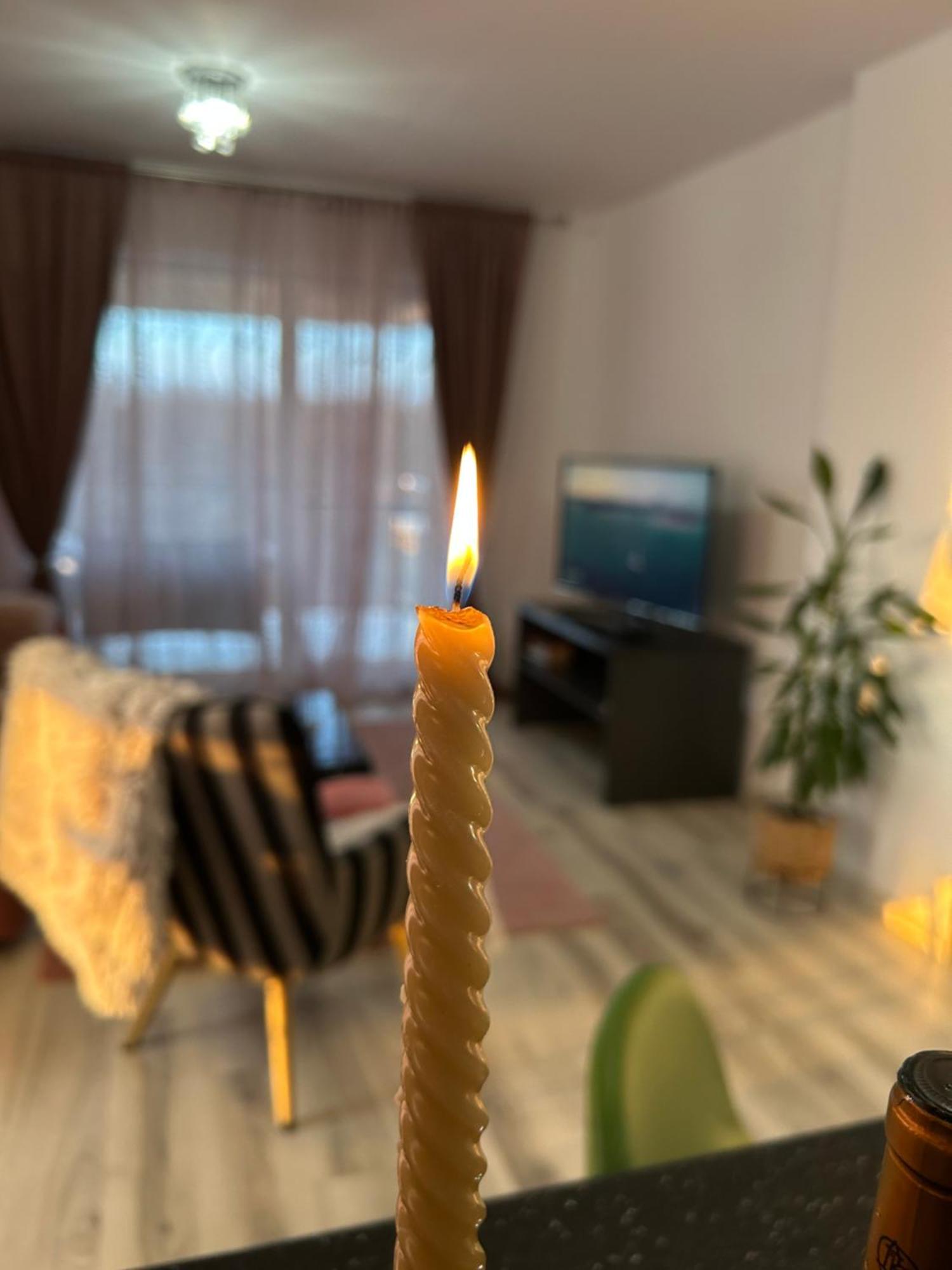 Foresthouse 1 蒂米什瓦拉 外观 照片